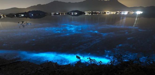 mar-azul-hong-kong