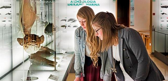 museos-tenerife
